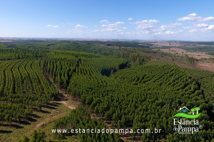 ALTO 360.00_04_29_24.Quadro012_53aae40751a641575c31bf3fd5df0fcc4bae5972.jpg